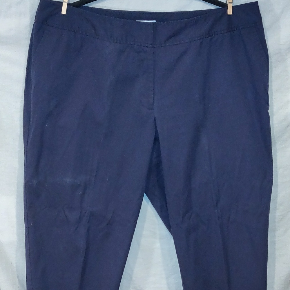 Fashion Bug 22W Blue Pants